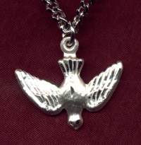 Dove Sterling Necklace